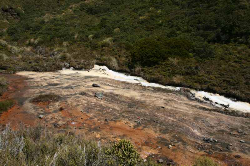 Nieuw-Zeeland 2011 - 0848